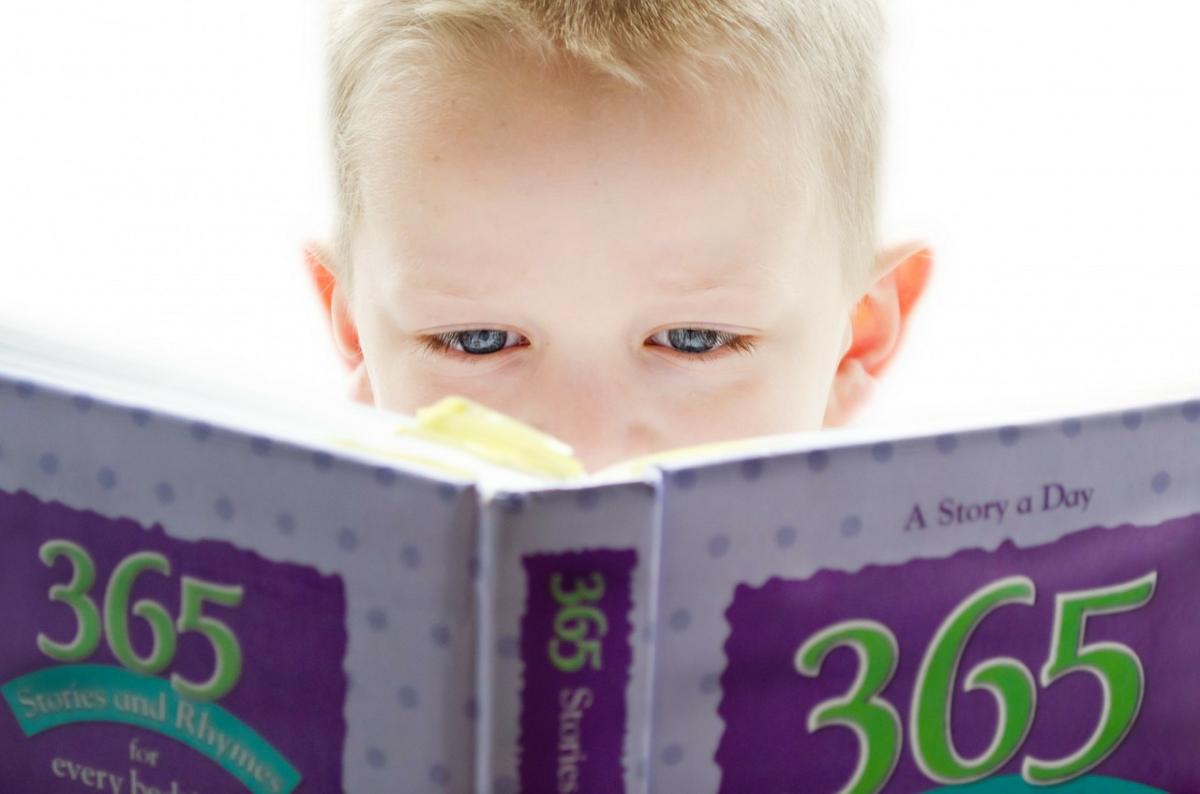 Small boy reading a book